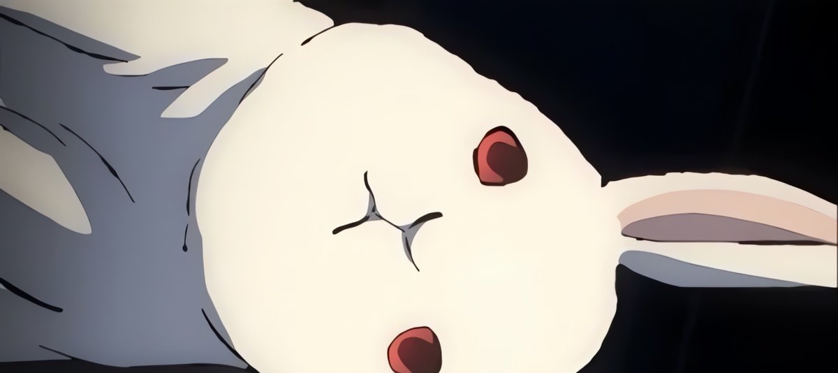 Post by Z Fighters on X: ウサギ