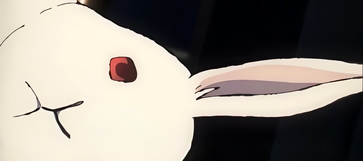 Post by Z Fighters on X: ウサギ