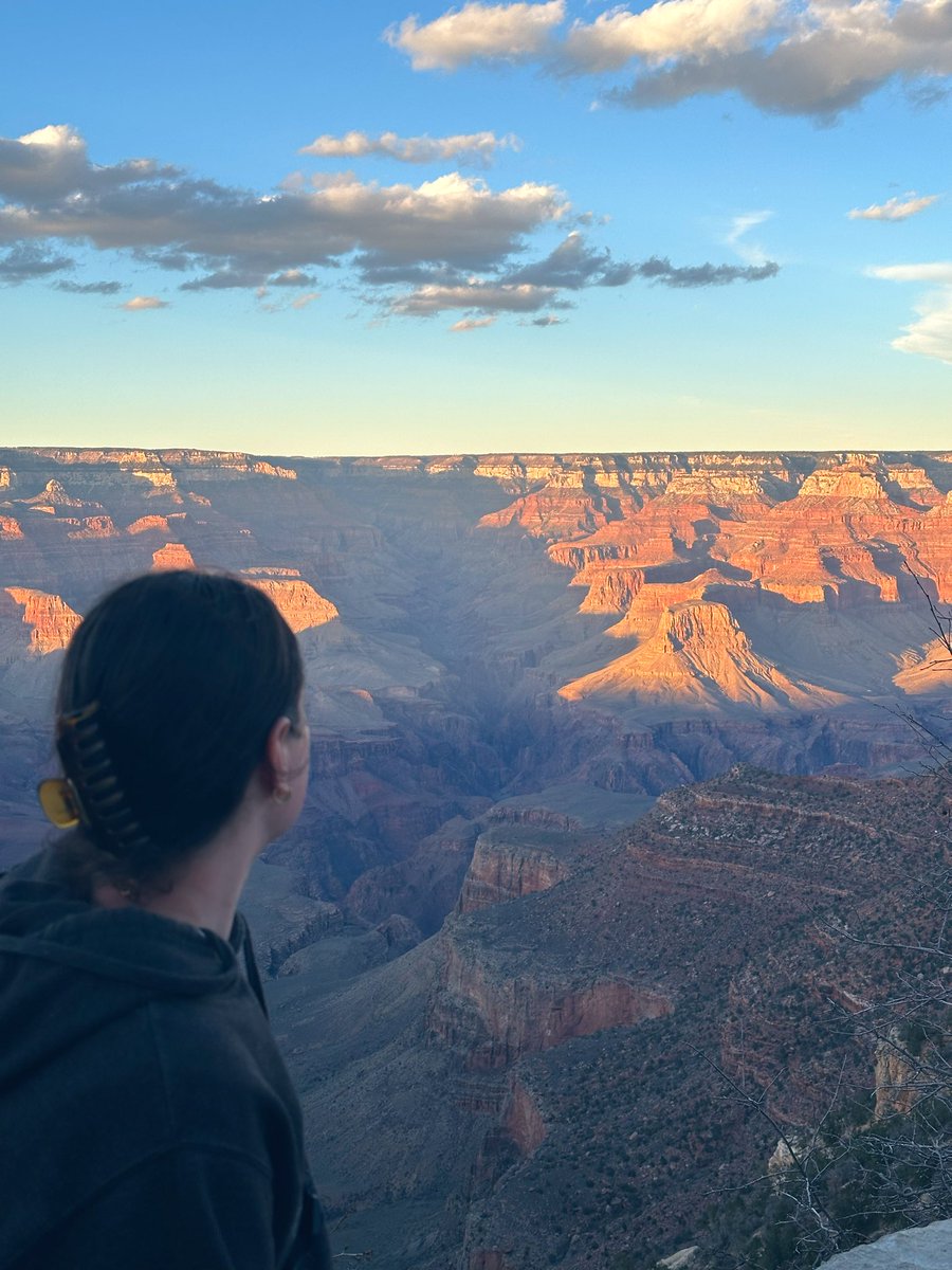 cozy rosie 📚 6/30 tweet media