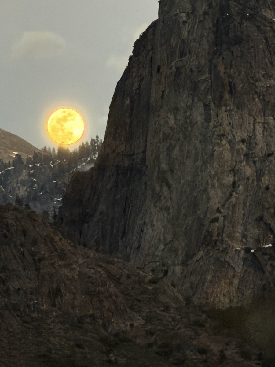 Cody ⚡️ tweet media