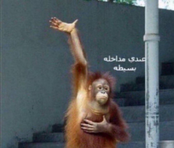 يحدث الان :