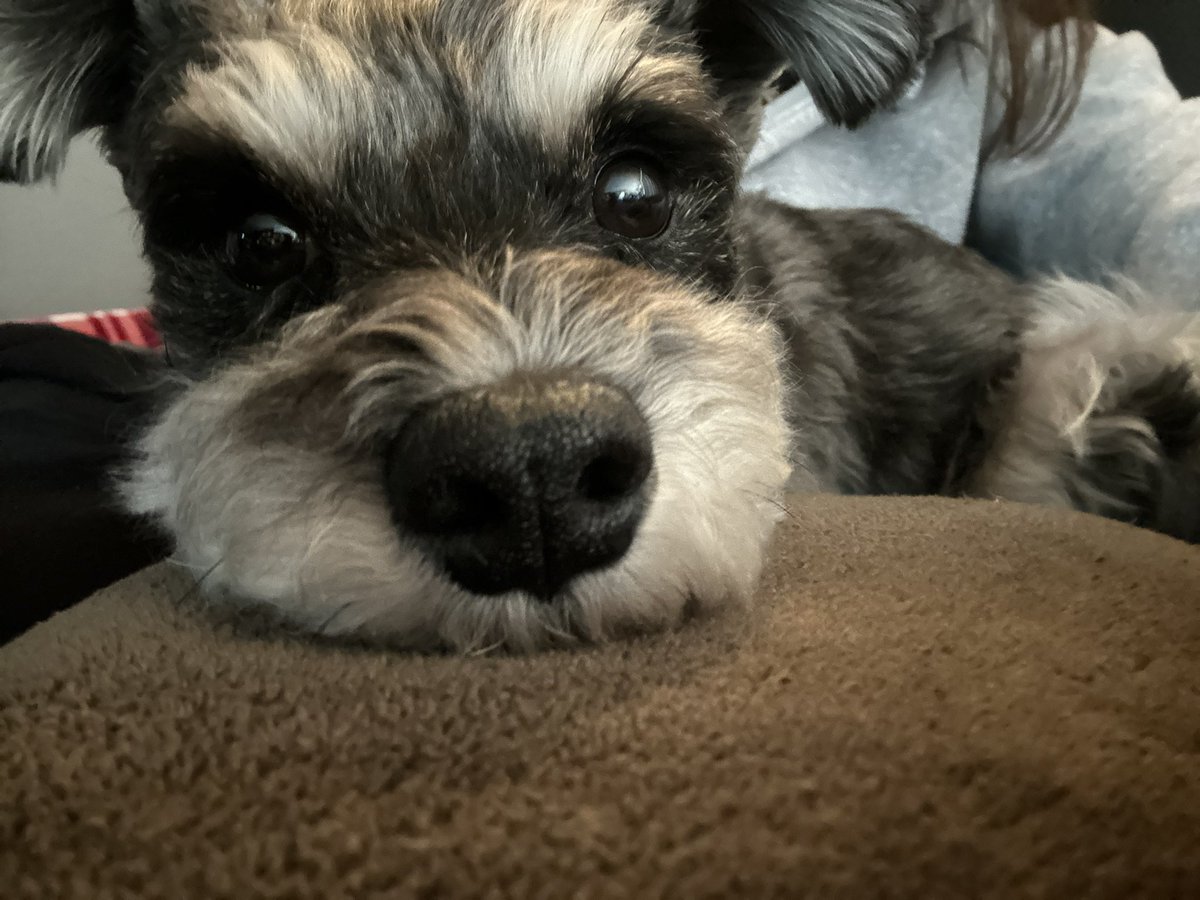 JB 🇨🇦 tweet media