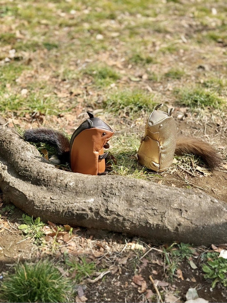 ときめく魔法、もうひと振り

▶︎ fruttidibosco.net/c/content/moni…