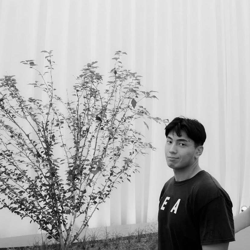 𝘇 ion. tweet media