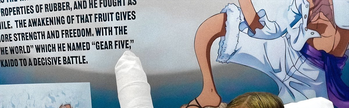 One Piece tweet media