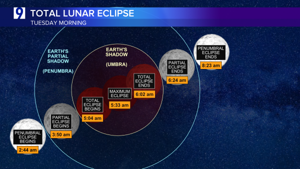 WGN TV News tweet media