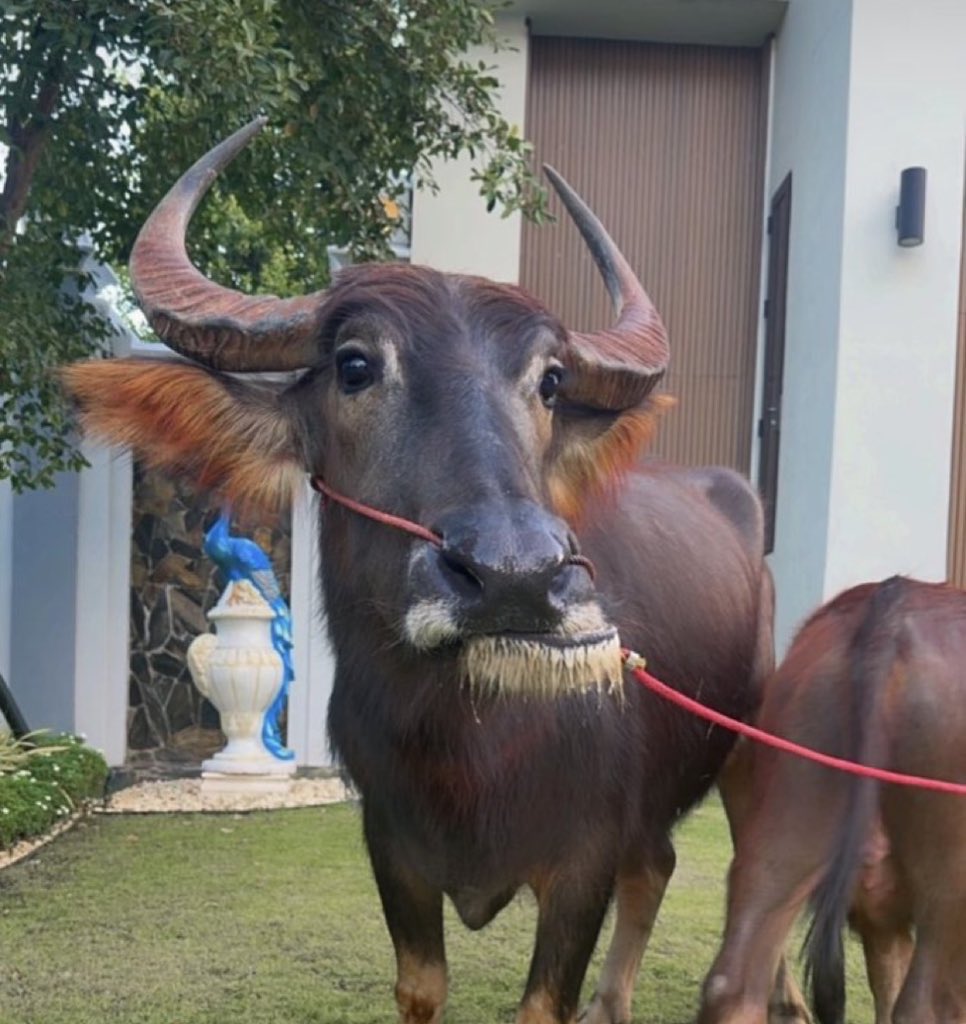 🪐 Mundo GL 👩🏻‍❤️‍👩🏻🏳️‍🌈 tweet media