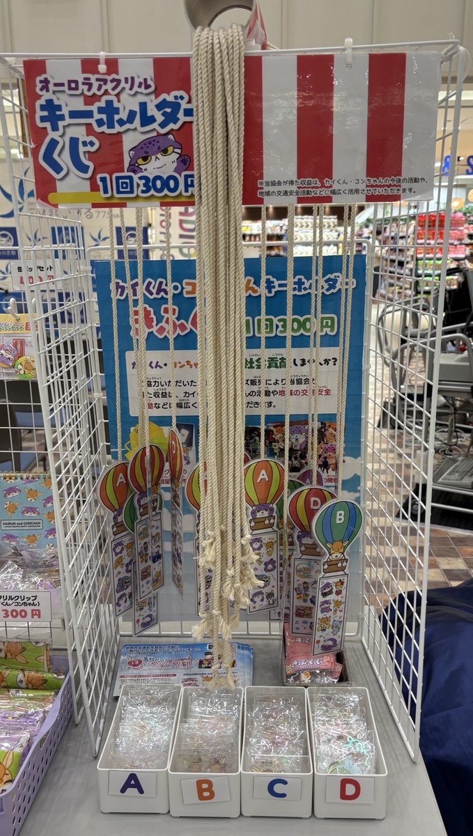 kyoto_ankyo コンちゃん 雨降りだけど自転車体験しに来たよ