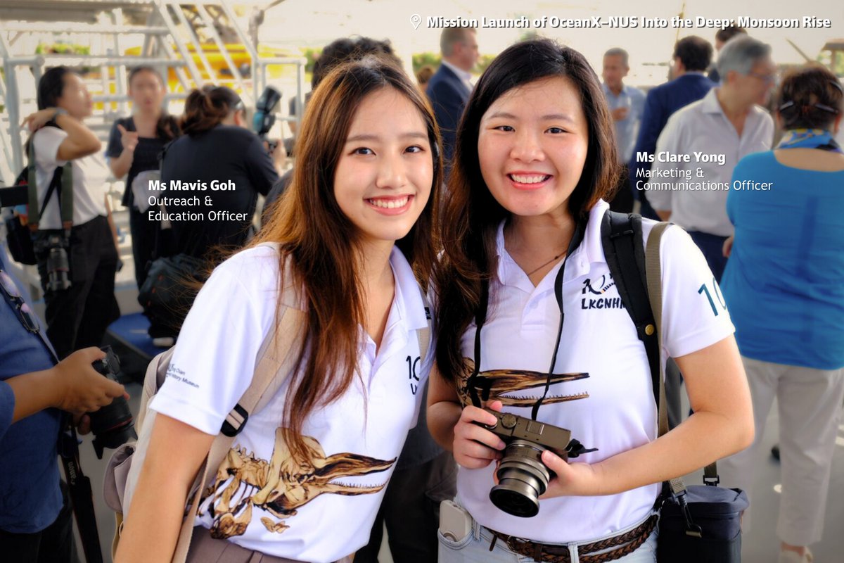 Lee Kong Chian Natural History Museum tweet media