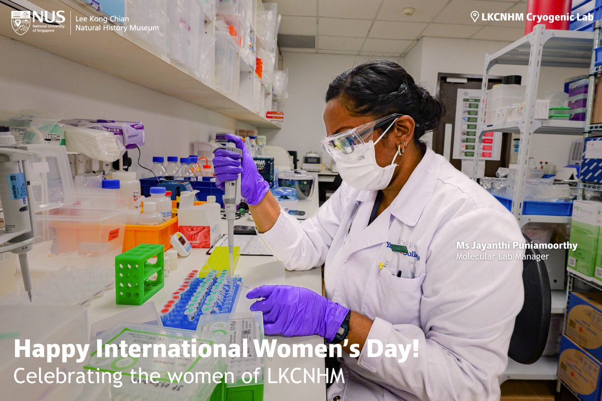 Lee Kong Chian Natural History Museum tweet media