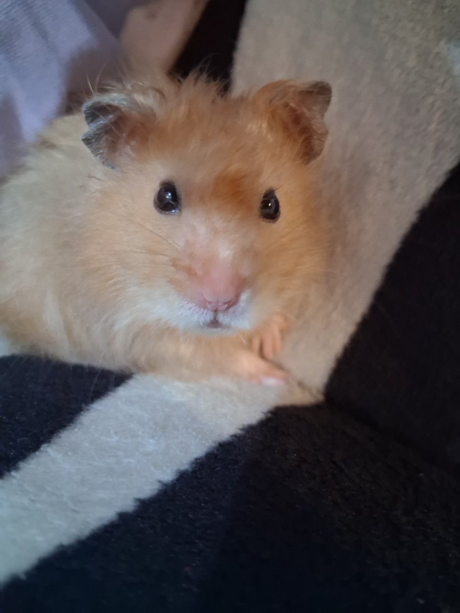 Q CARITA LA Q TIENE DIOS