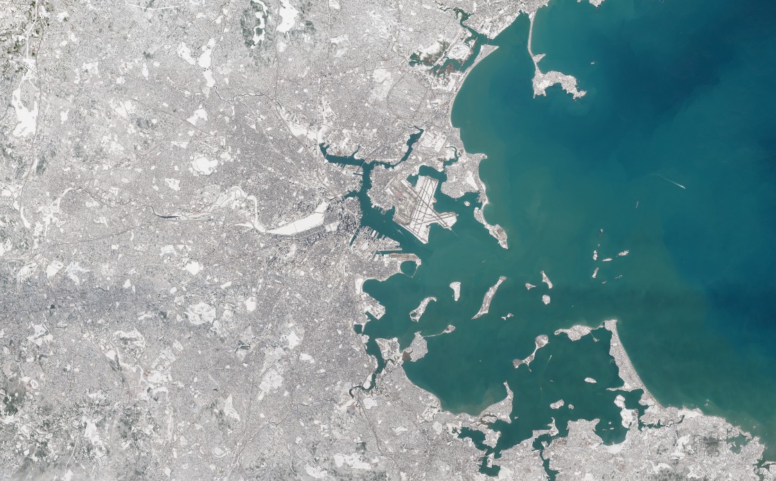 Tyler Jankoski NBC5 🌷 tweet media