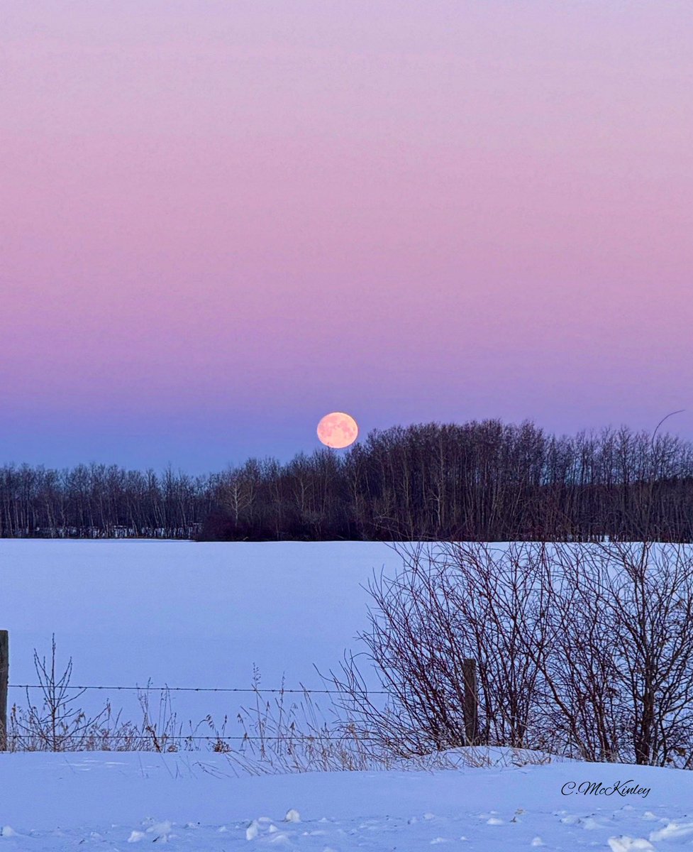 ChristinaKottm2's tweet photo. Due to all the snow we’re getting tonight, there’s no chance of seeing the lunar eclipse. I’ve decided to share another beautiful full moon I took a while ago. 🌕 https://t.co/AG3ZfwbUmS