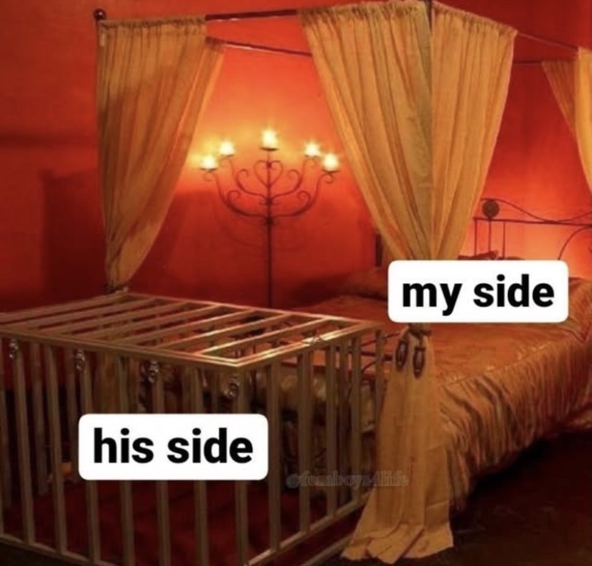 Sashathedestroyer | NYC tweet media