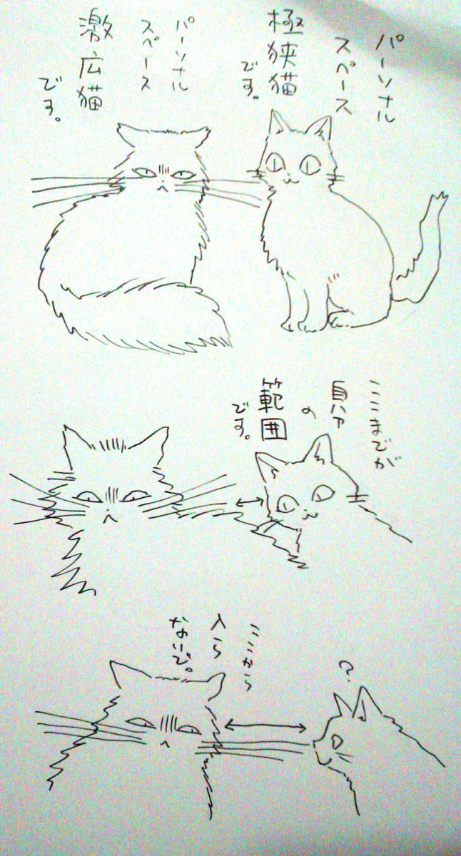 本日の猫落描き。 