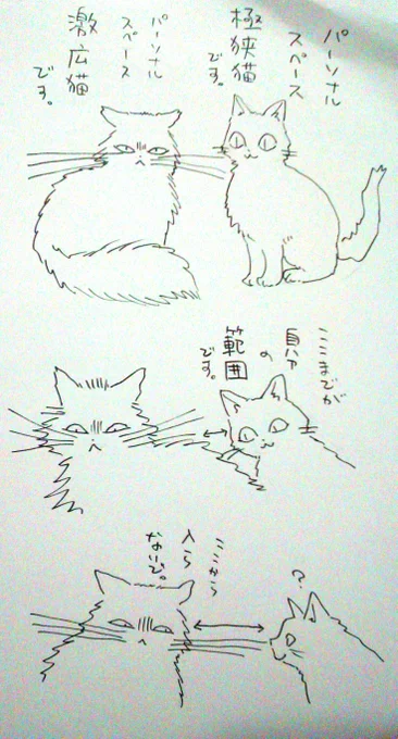 本日の猫落描き。 