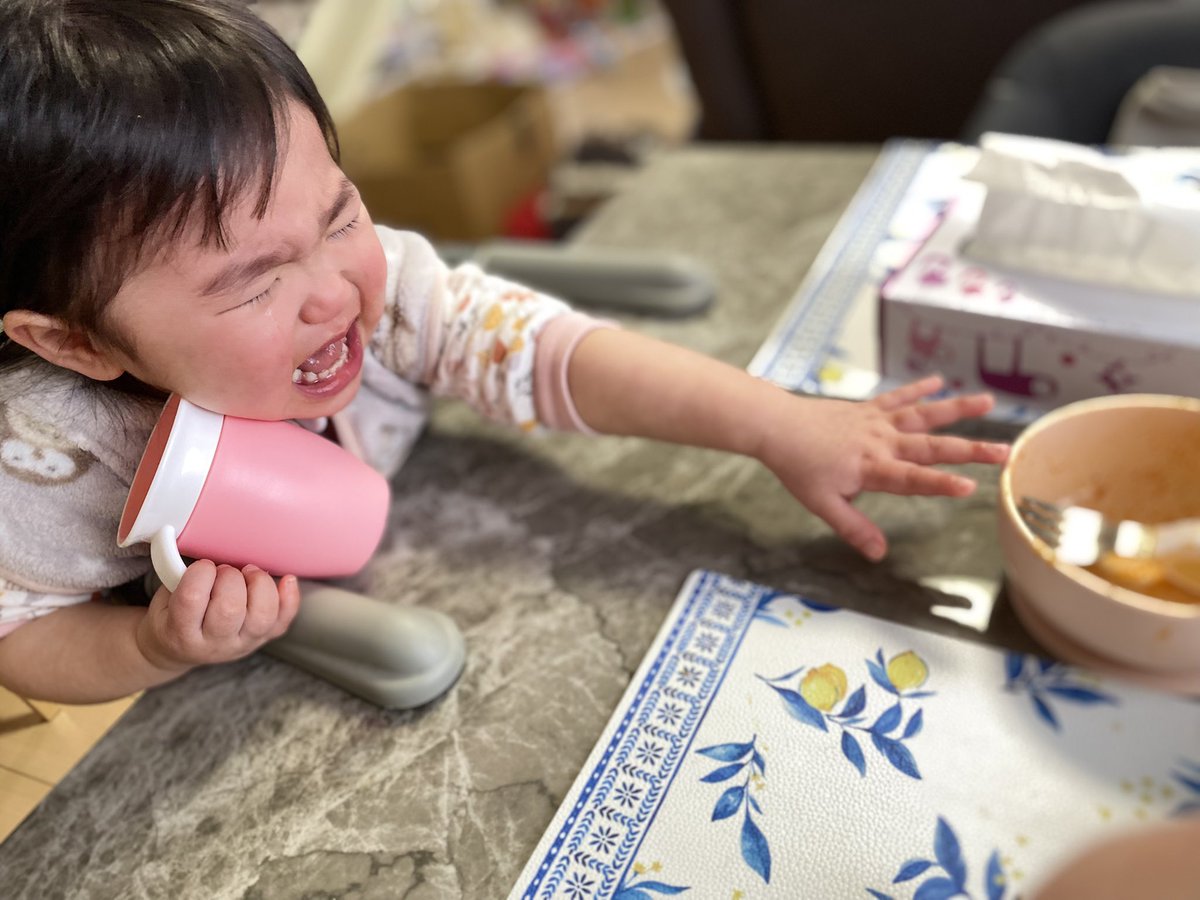 パンちゃんとナギさん5y&スイさん1y (@panchanbaby) / Posts / X