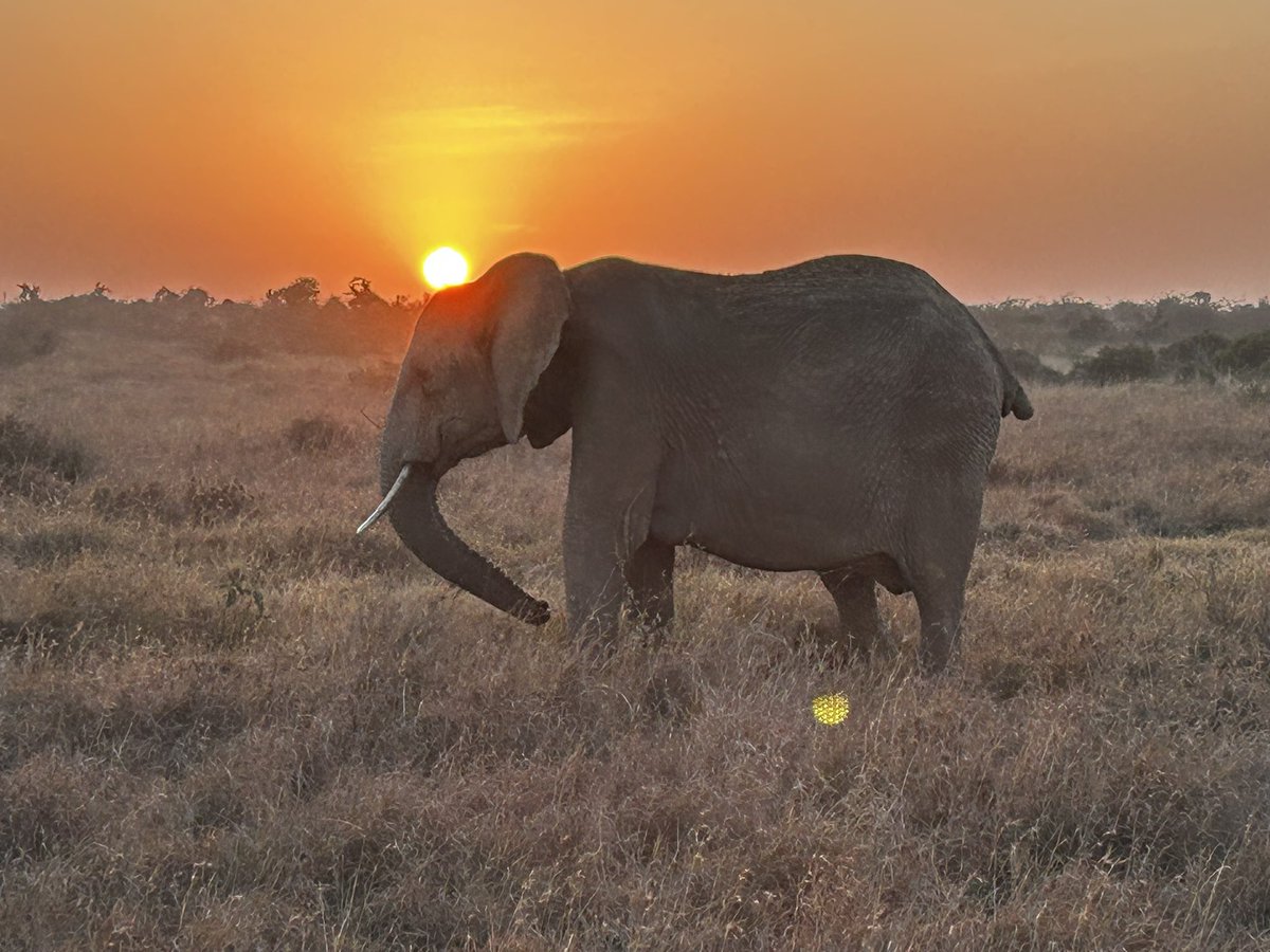 Julius Court tweet media