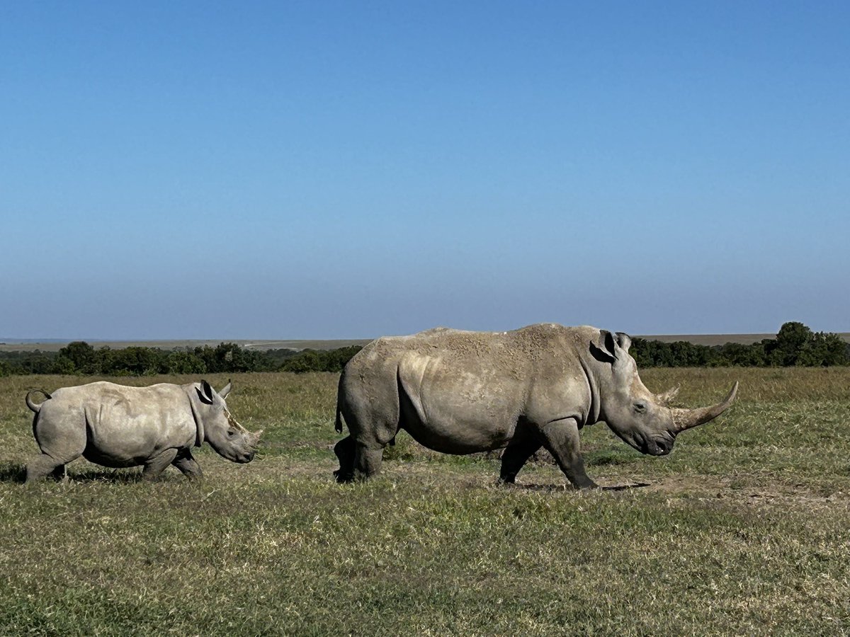 Julius Court tweet media