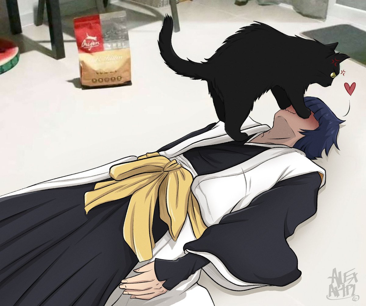 Daily Yoruichi tweet media