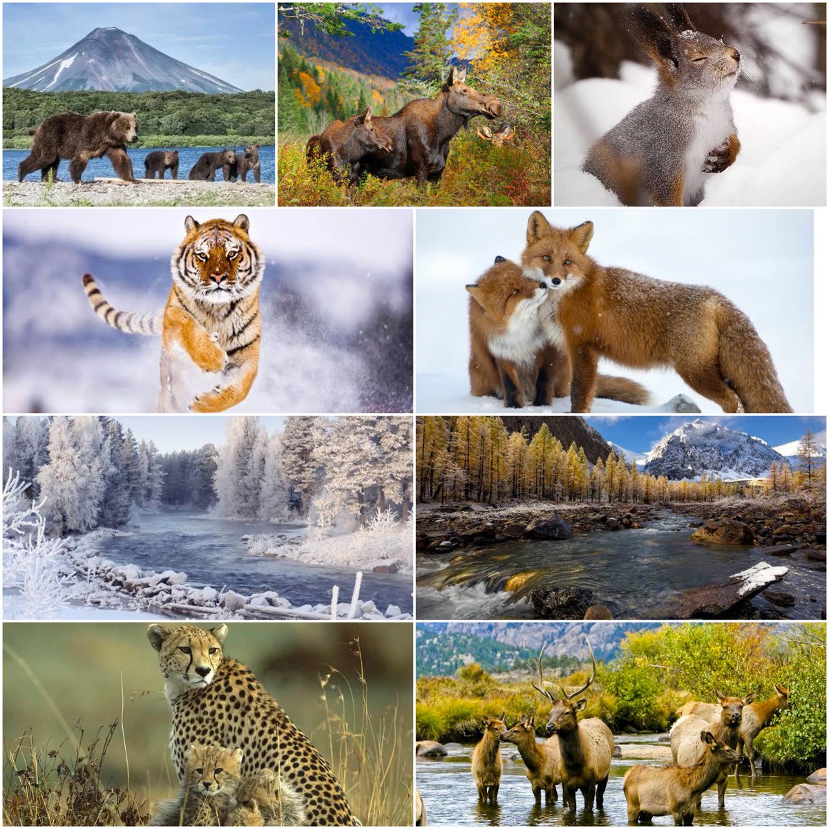 🐆🌏3月3日は世界野生生物の日です。
 
🇺🇳国連の記念日で、1973年のこの日「絶滅のおそれのある野生動植物の種の国際取引に関する条約」が採択されたことに由来します。
 
🌿🐘この条約により、8500種以上の動物、3万種以上の植物が保護されています。

🔗 facebook.com/share/1886nn9z…