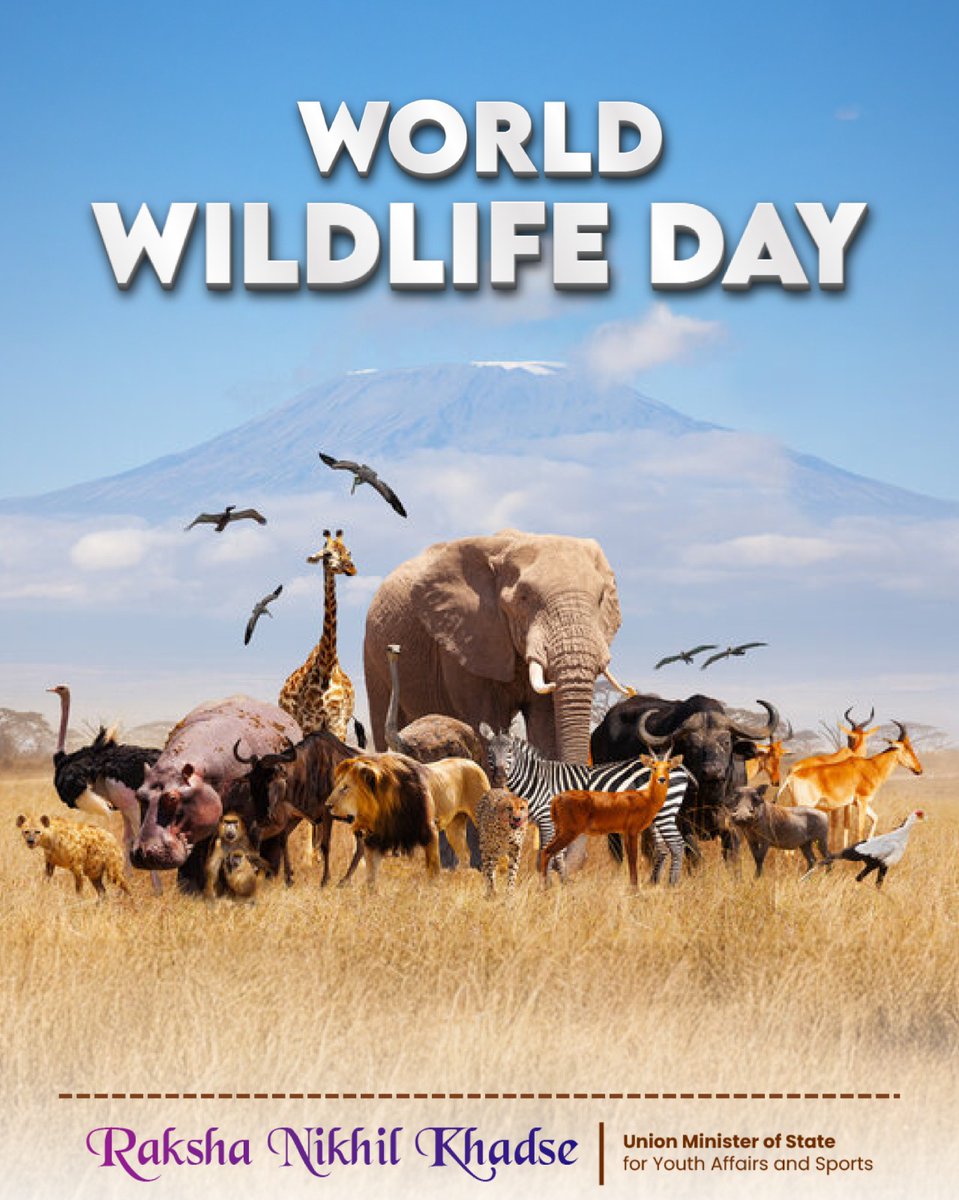 "The beauty of the wild is a gift we must protect." 

Today, we celebrate the incredible diversity of our planet’s wildlife. From the towering elephant to the swift cheetah, every creature plays a vital role in the delicate balance of our ecosystem. Let's commit to preserving