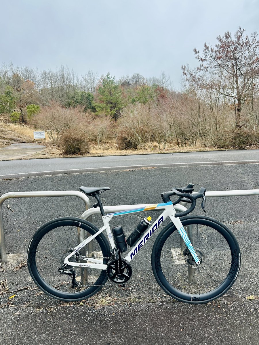 罪深いものを食べたので消費してきます。