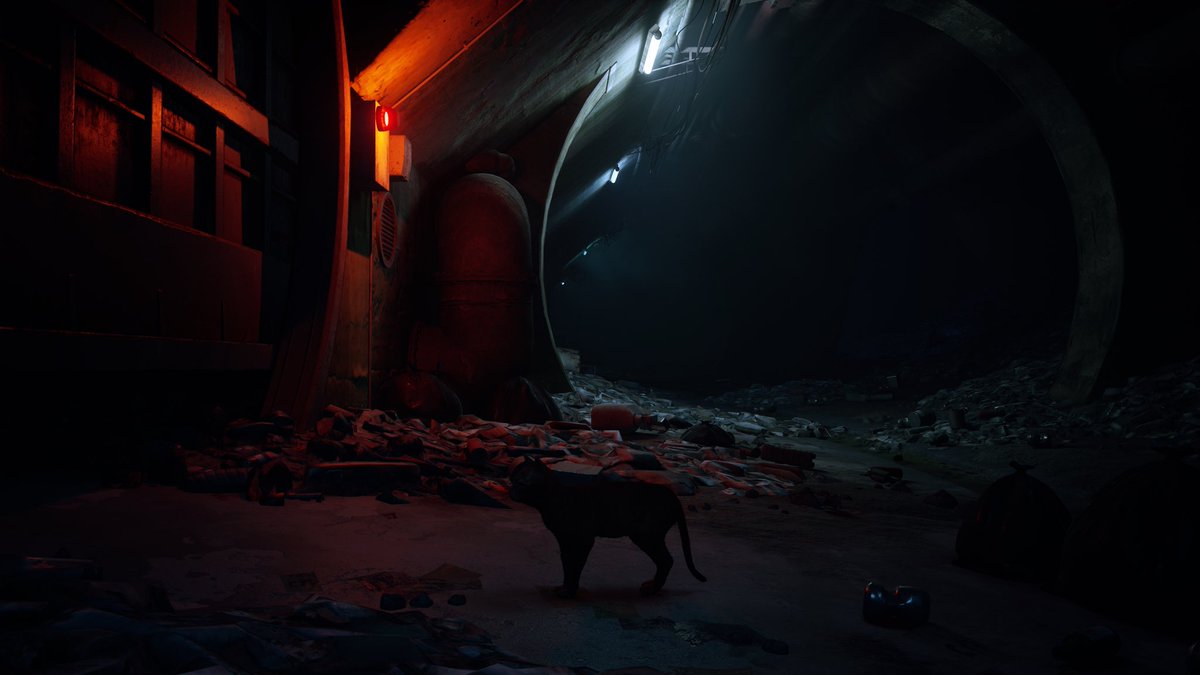 Peaceful Gamer tweet media