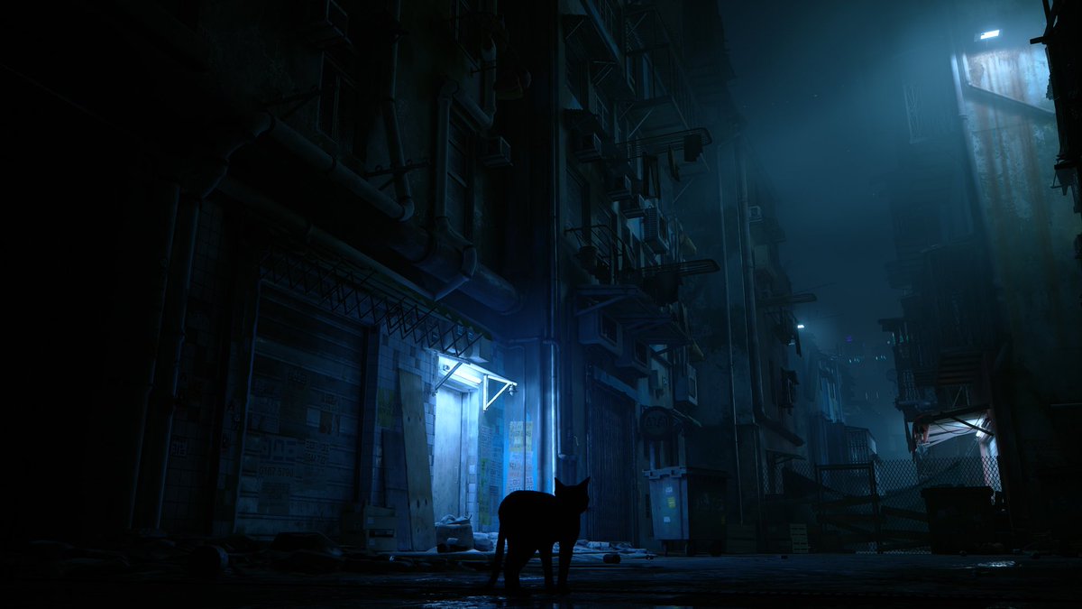 Peaceful Gamer tweet media