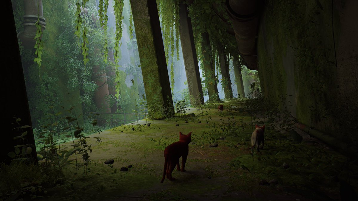 Peaceful Gamer tweet media