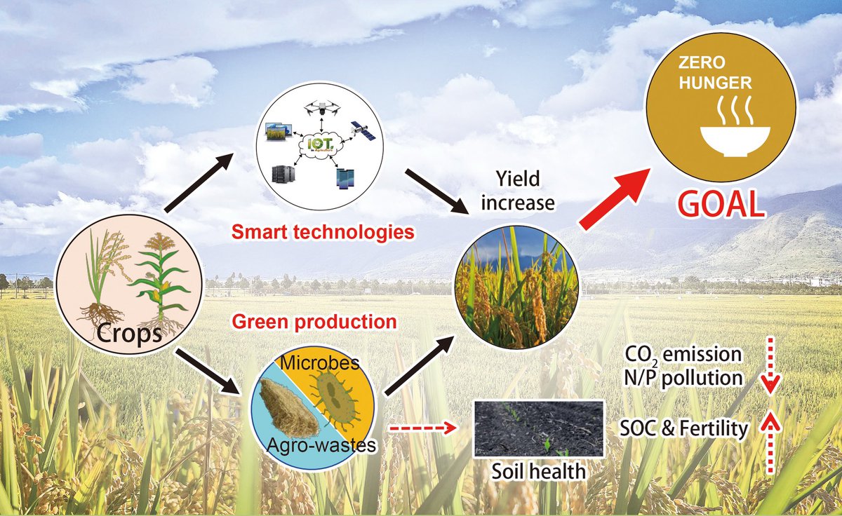 JIA_JIntegrAgri's tweet photo. #SpecialFocus: Ecosystem Management and Agricultural Green Development in Subtropical Regions
✅🌈https://t.co/D8PilyO0gI
#GuestEditor Prof. Jinshui Wu, Prof. Tony G. O’Donnell, Prof. Andrew Macrae, Prof. Hongsong Chen, Prof. Weiguo Cheng, Prof. Zhihong Xu, Prof. ZhengmiaoDeng https://t.co/mdwnaMeNx2