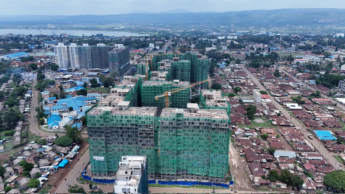 TERRY™🌹 tweet media