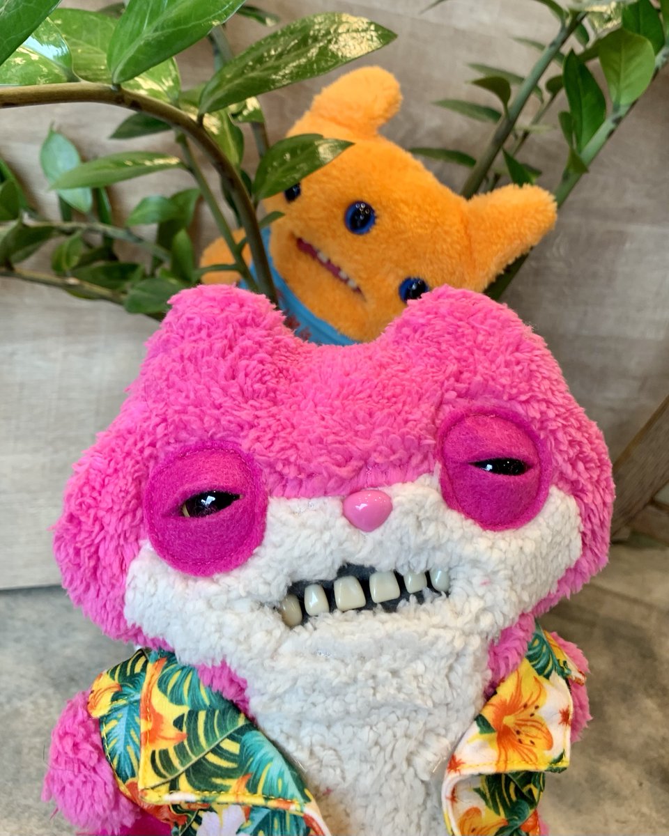 ファグラー【公式】 tweet media