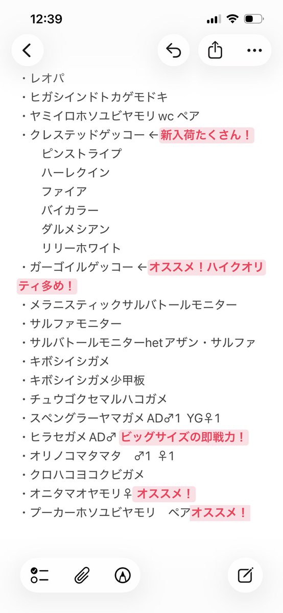 レオパの尋屋 じんぺー tweet media