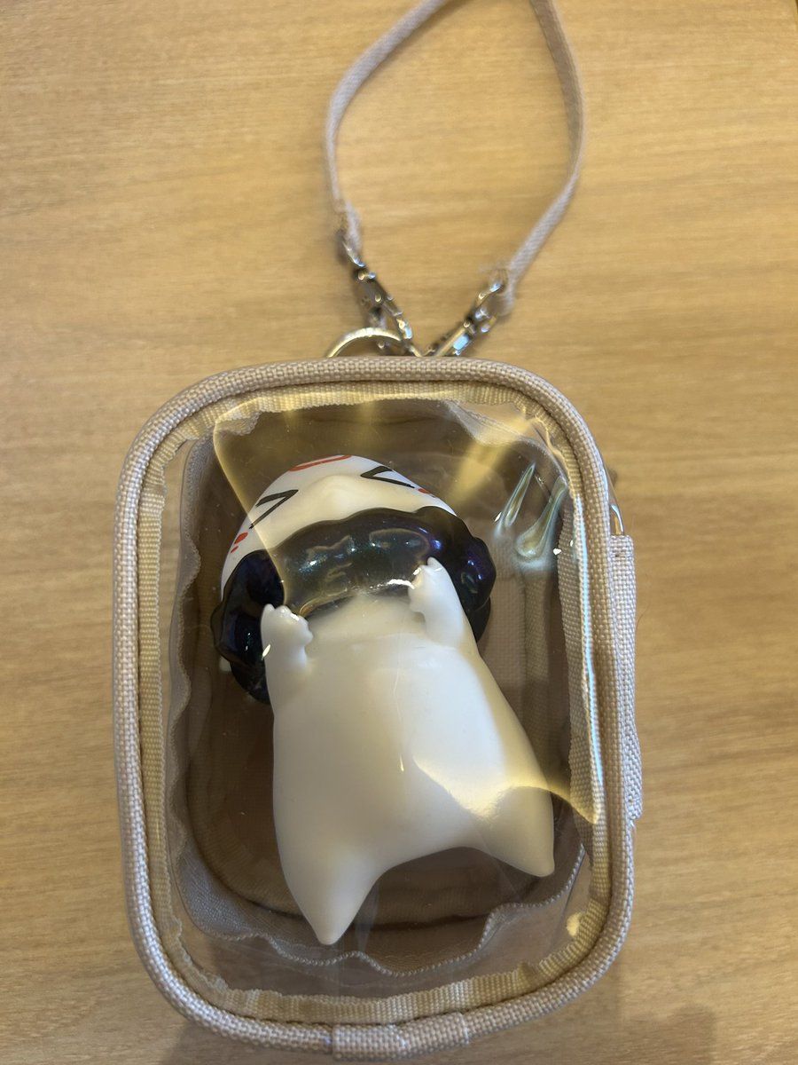 more-cats (@morecats4) / Posts / X