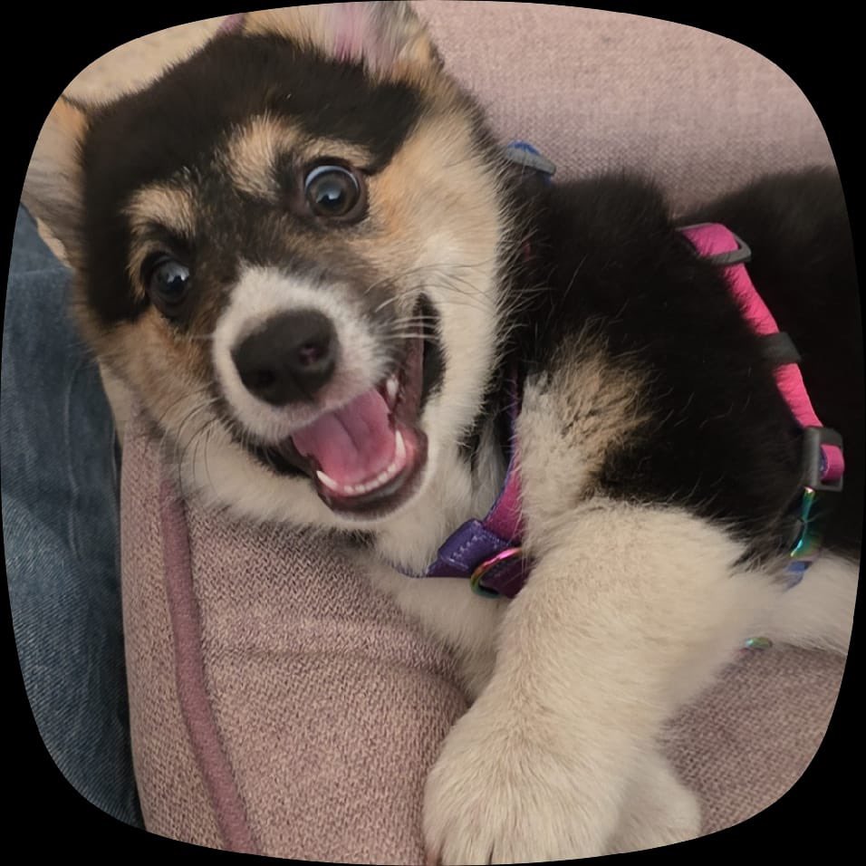 Jazmin Bonilla tweet media