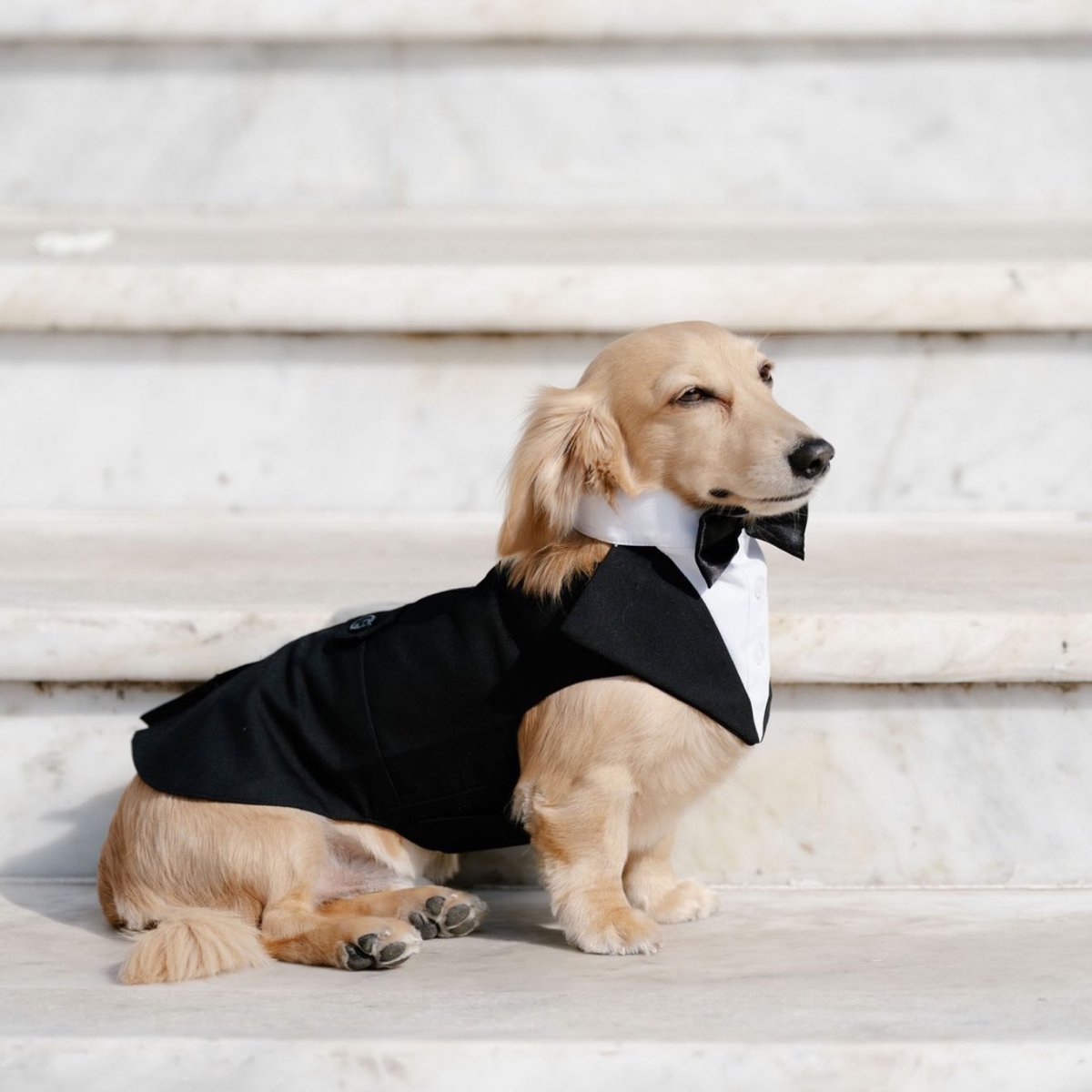 daldi lvs val tweet media