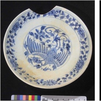 Jin Xu 徐津 tweet media