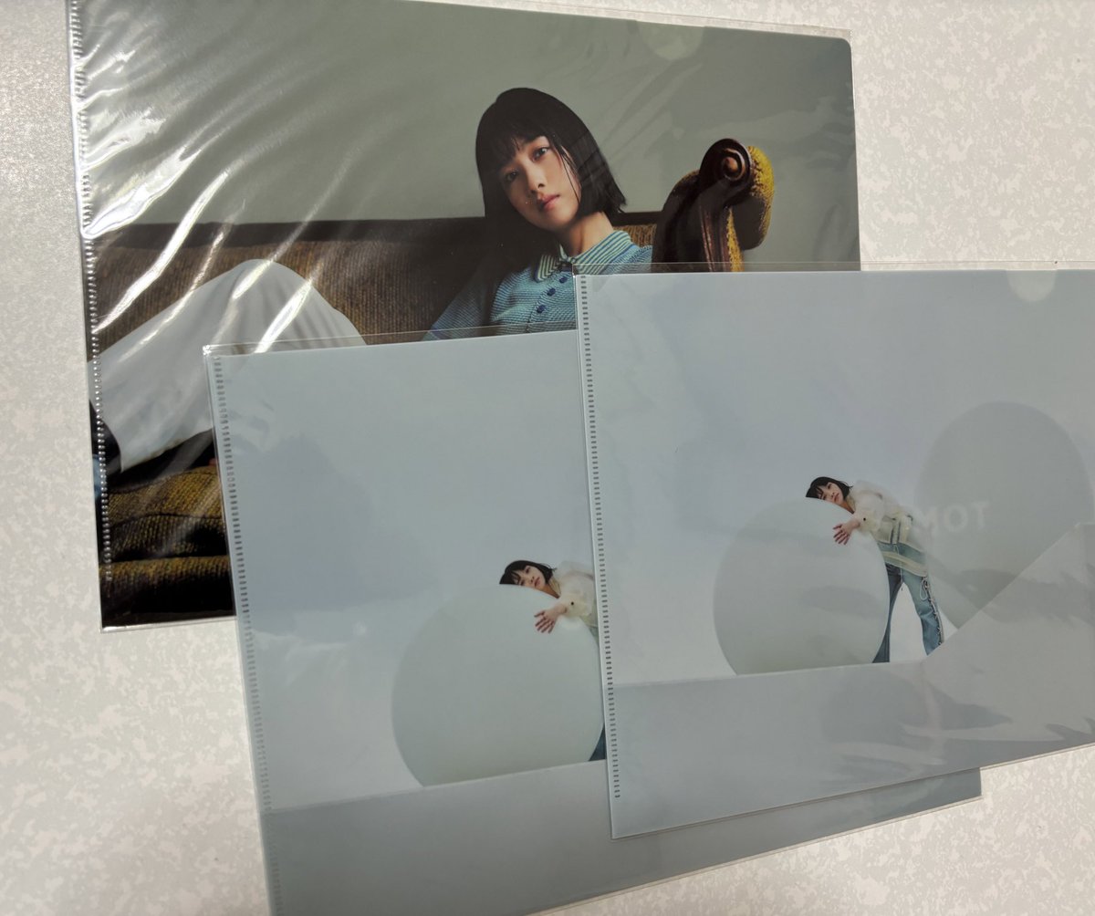 TOMOO ずっと使わないでいたクリアファイル、 今日から一つを