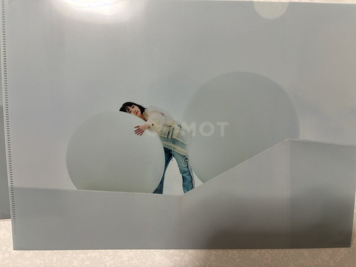 TOMOO ずっと使わないでいたクリアファイル、 今日から一つを