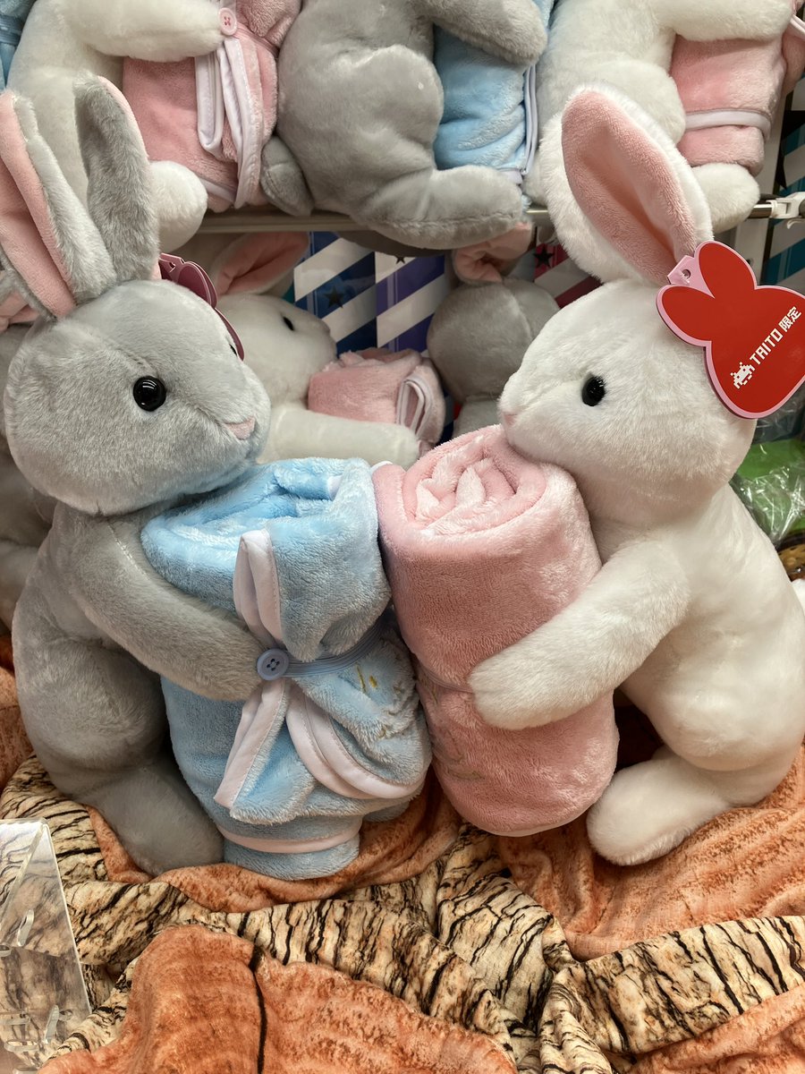 本日の新景品のご案内です！ 【いっしょにお昼寝うさぎさん 冷感