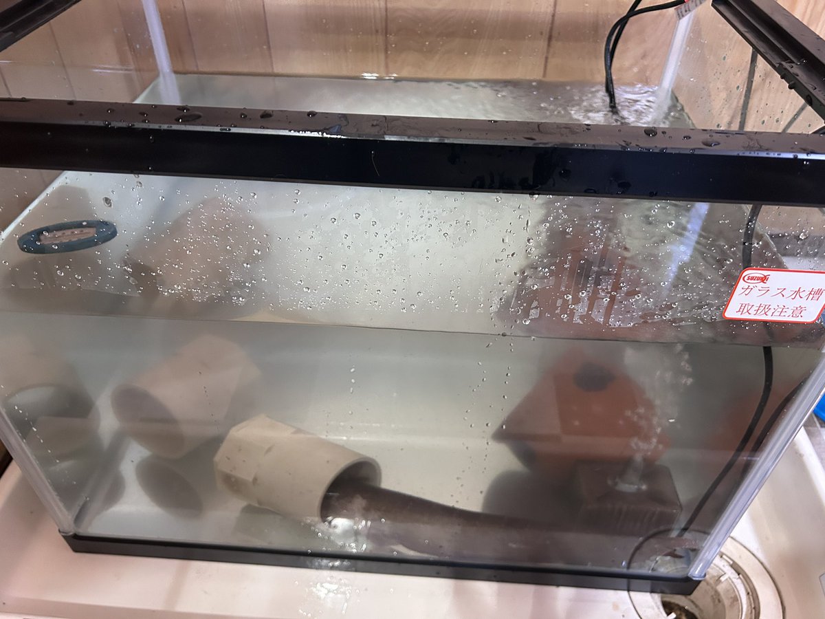 JaySeiden's tweet photo. 今日は久しぶりに心弾むことがあった。
以前より欲しかった鯰用水槽が届いて、セットアップが完了したのだ。
今までの倍の容量だから、ペット鯰も少し余裕の回遊が出来るね！ https://t.co/itgt6qZ1IM