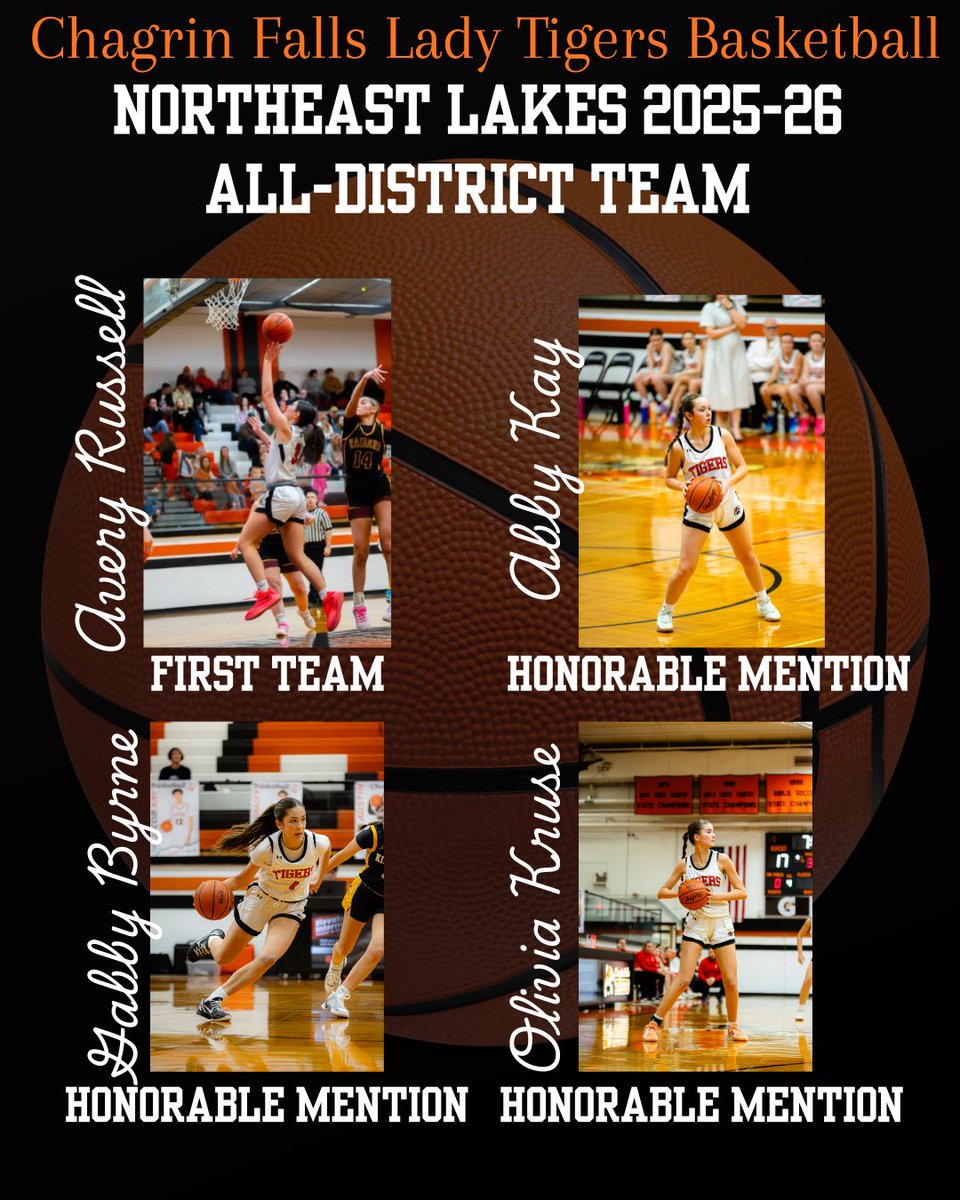 GoLadyTigers tweet media