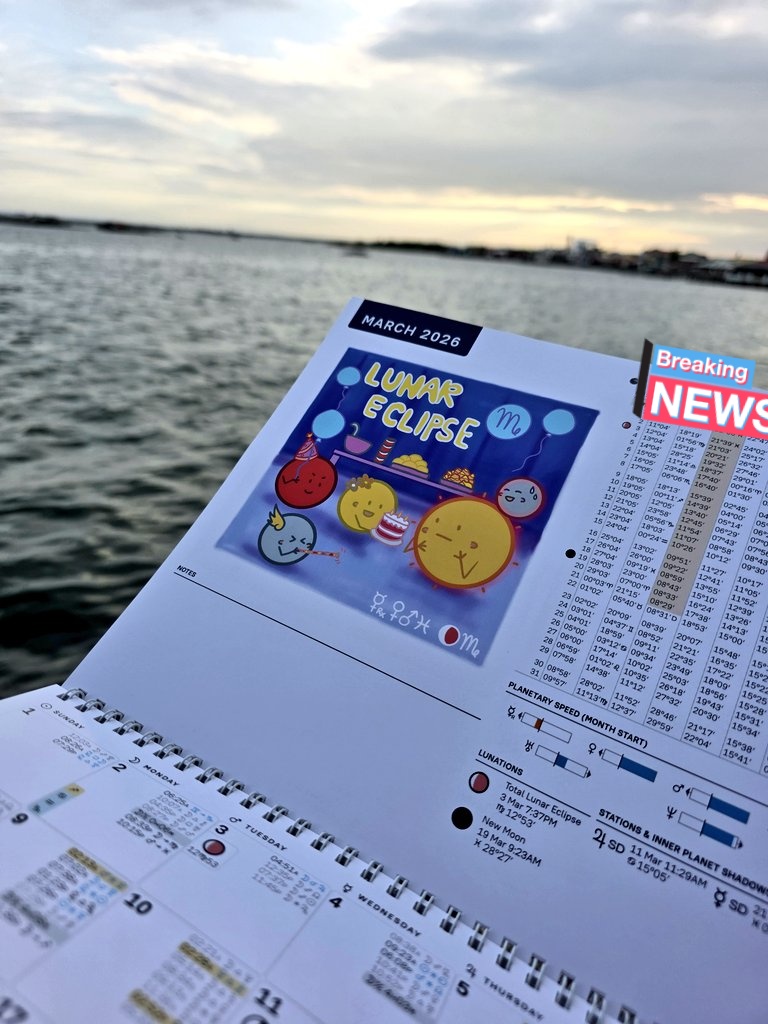 Xene Clare tweet media