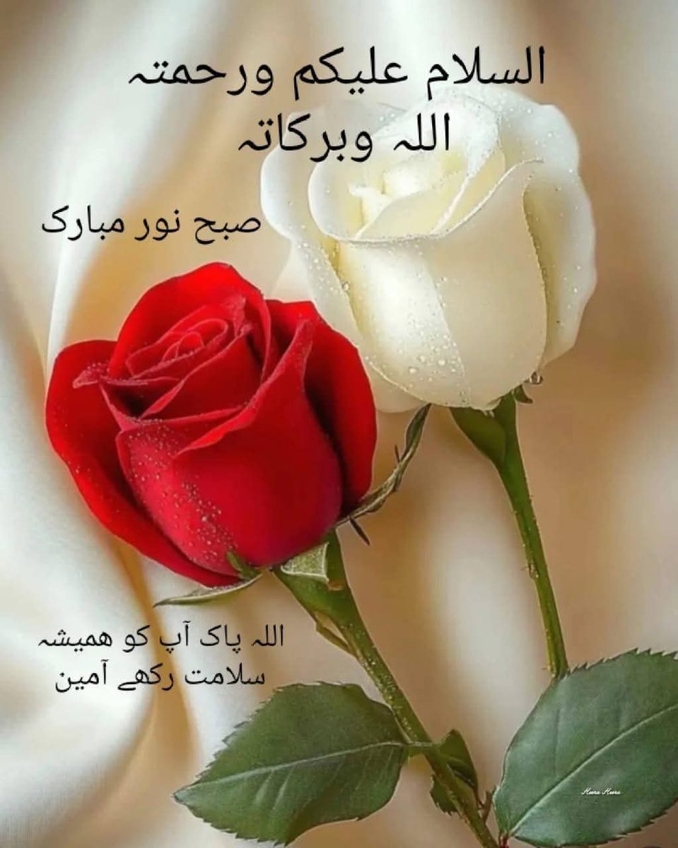 Furqan Jameel tweet media