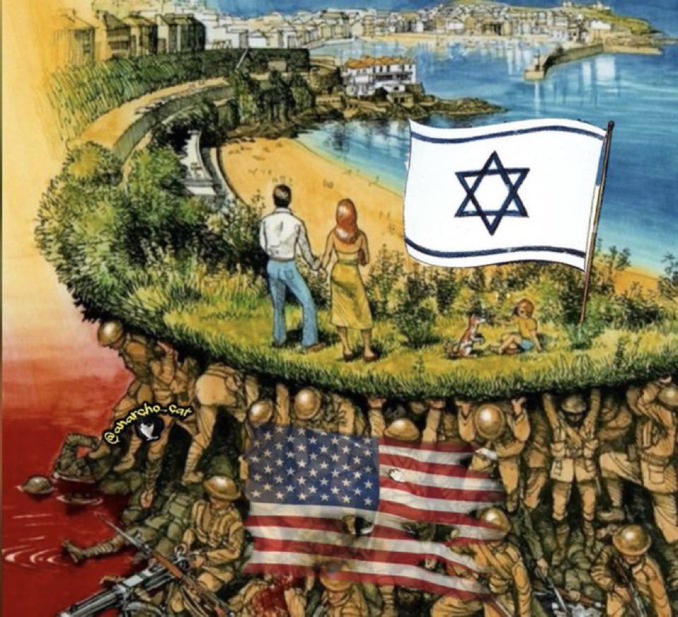 Todd Appel 🇵🇸 tweet media