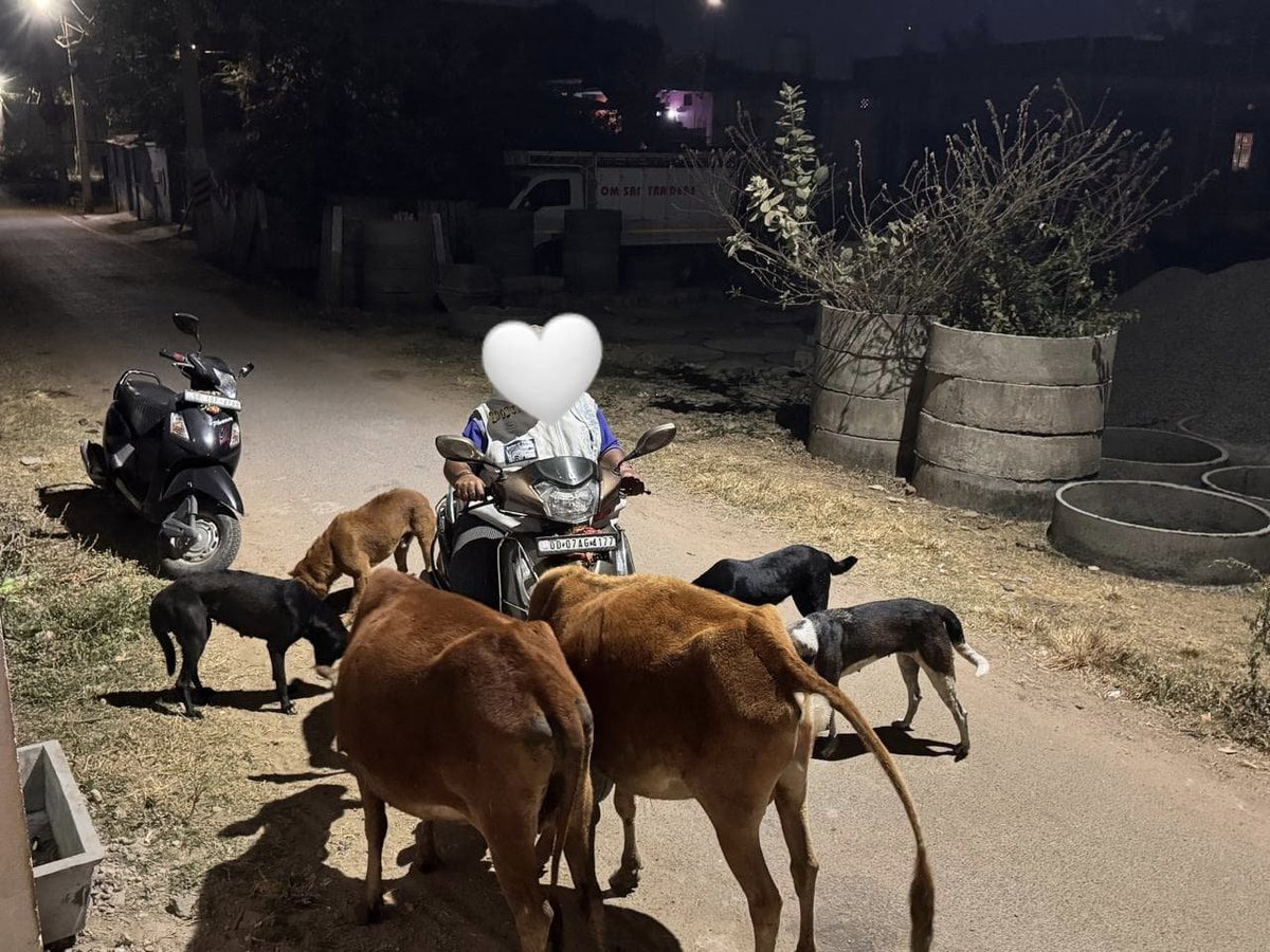 If humanity still exists, you will find it in the hands that feed the voiceless🐾