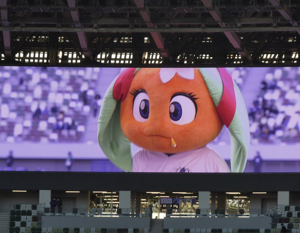 愛媛さんのマスコットちゃんの中でいちばん好きなのはたま媛ちゃんなん