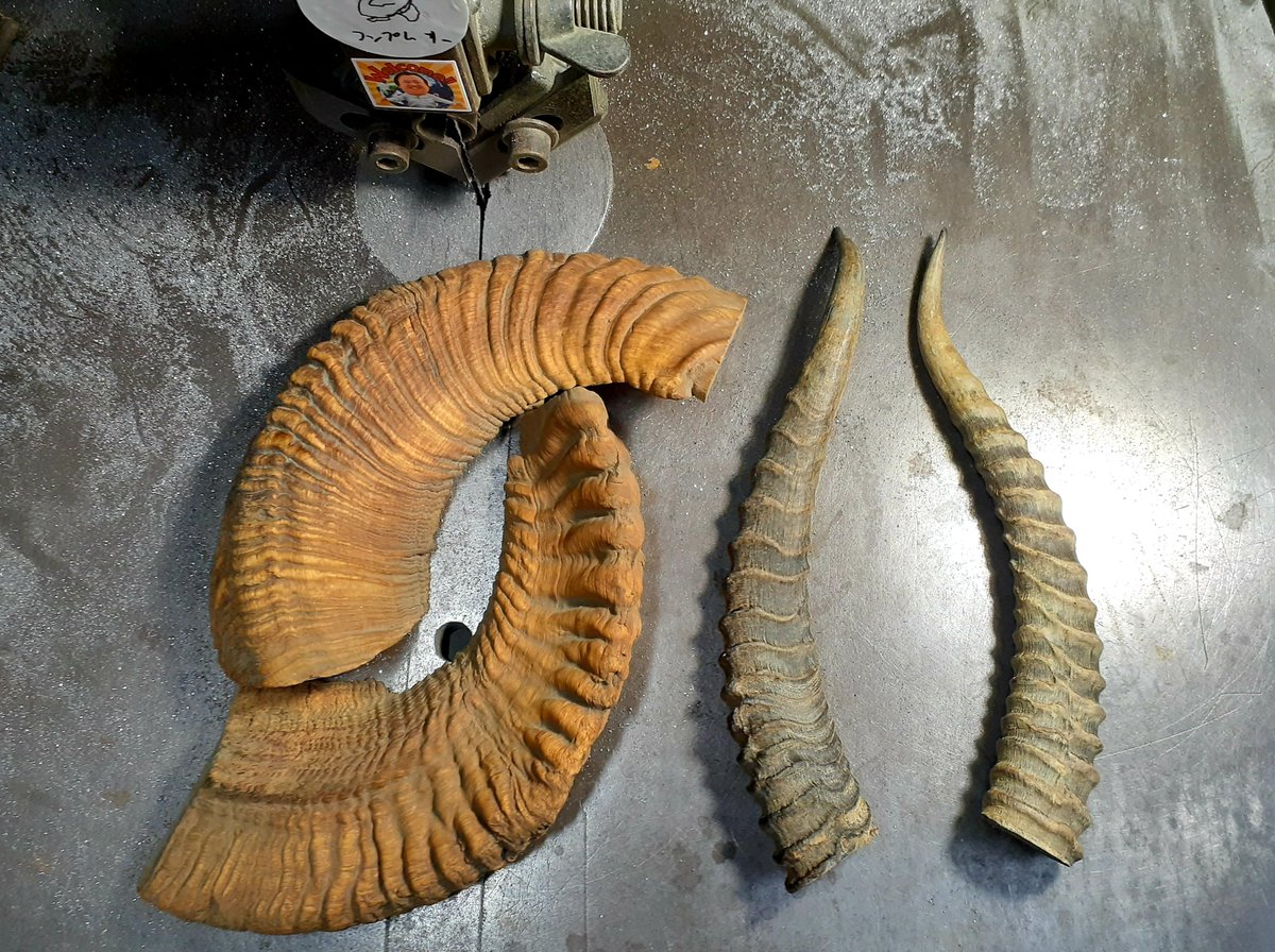 ゆっくり工房 /// tweet media