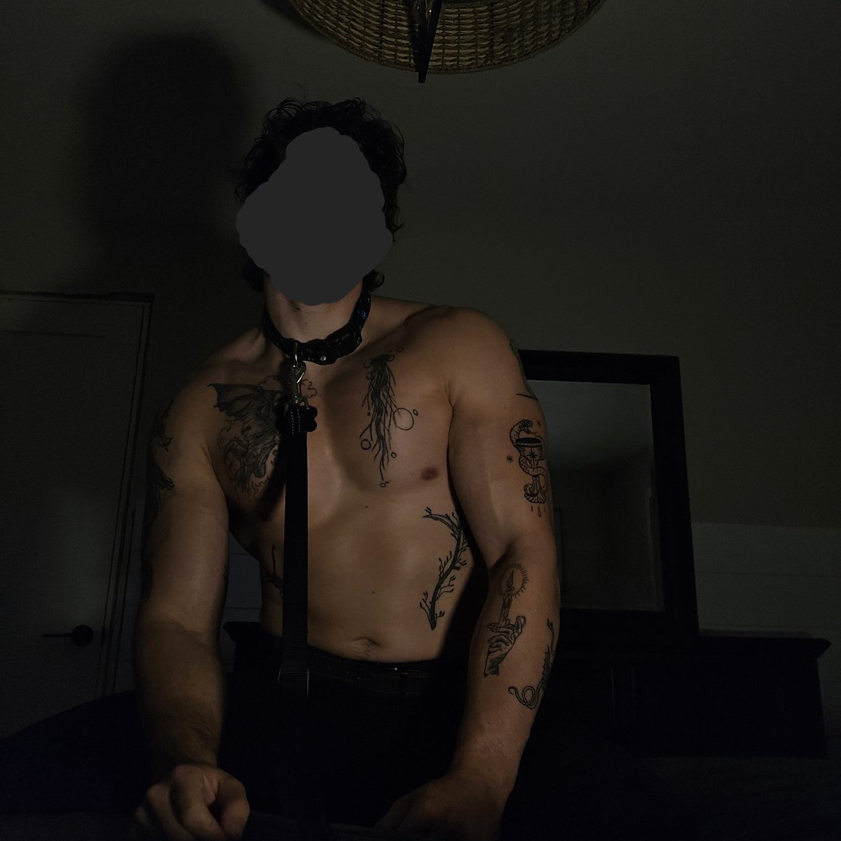 Goodnight chat 🐶🐾